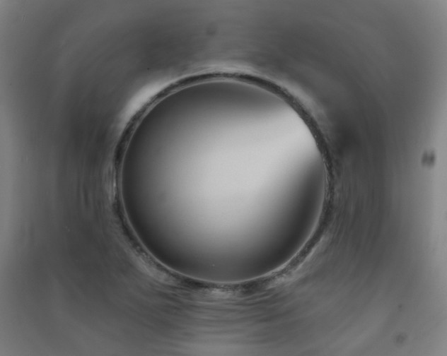 X0000091471271200708161352
