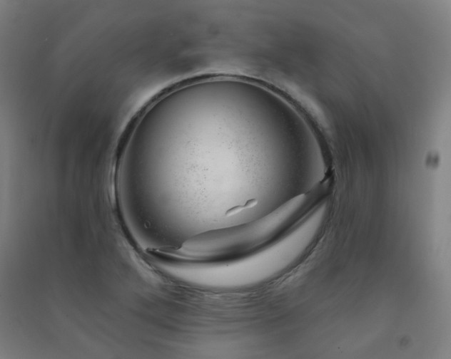 X0000091471272200708161352