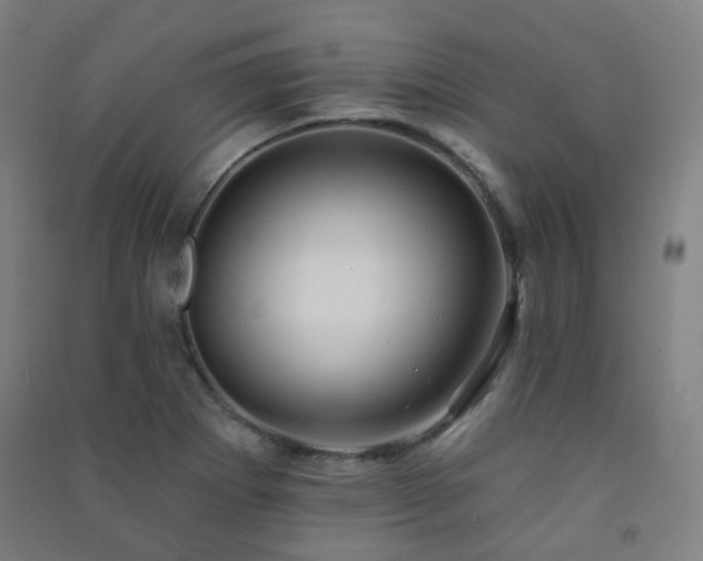 X0000091471273200708161352