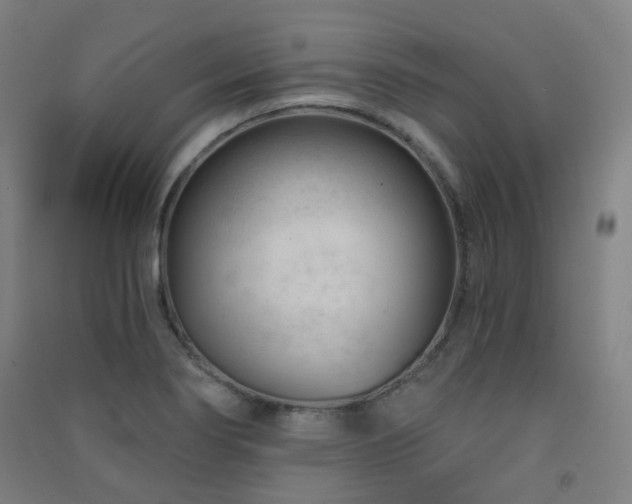 X0000091471274200708161352
