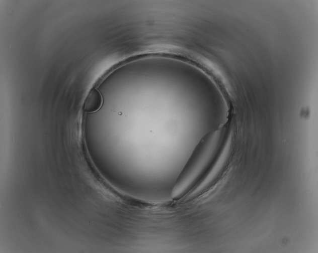 X0000091471275200708161352
