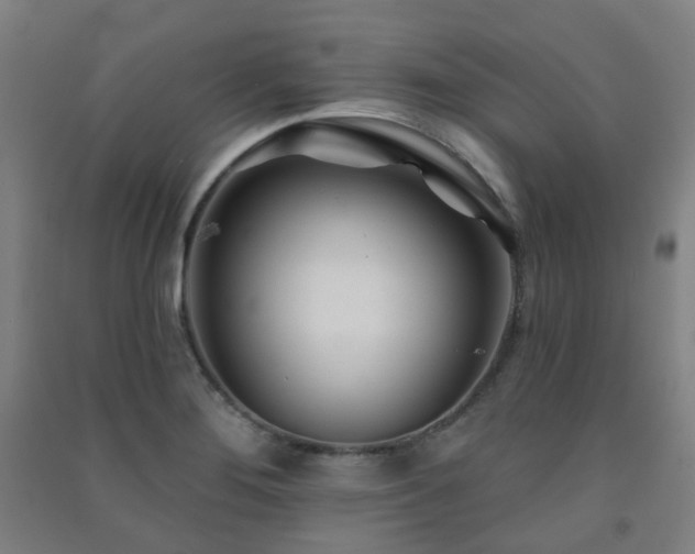 X0000091471276200708161352