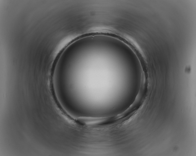 X0000091471277200708161352