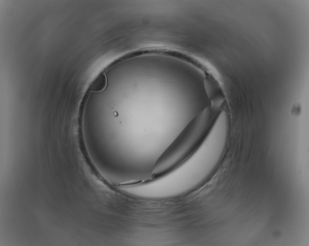 X0000091471279200708161352