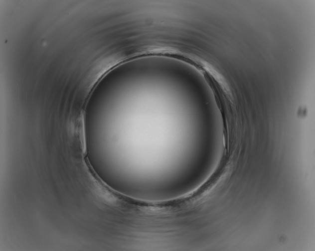 X0000091471281200708161351