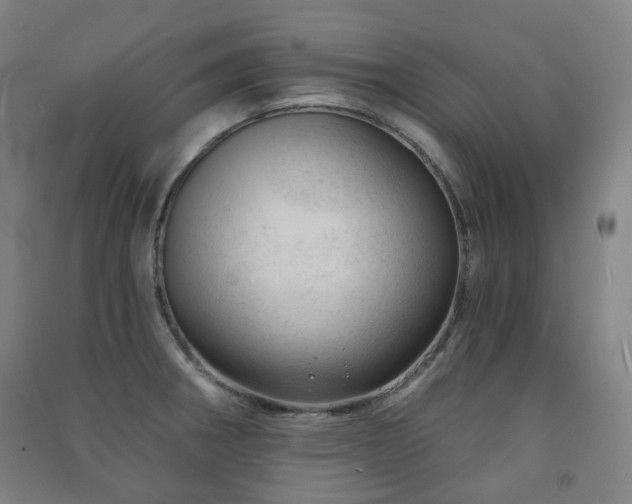 X0000091471282200708161351