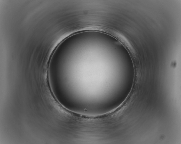 X0000091471284200708161351