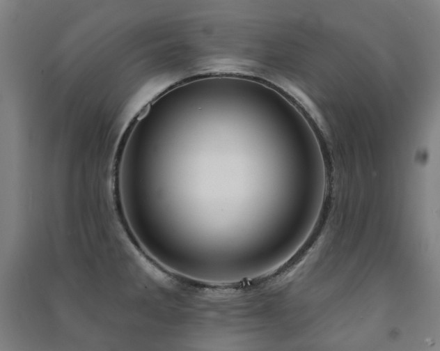 X0000091471285200708161351