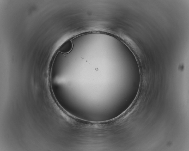 X0000091471286200708161351