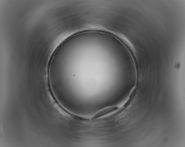 X0000091471287200708161351