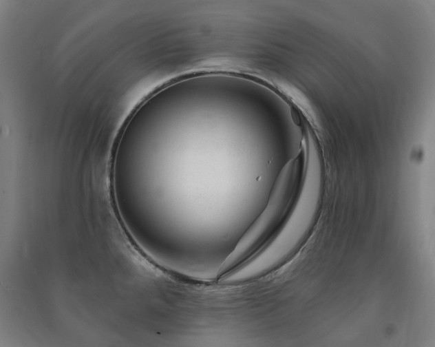 X0000091471288200708161351