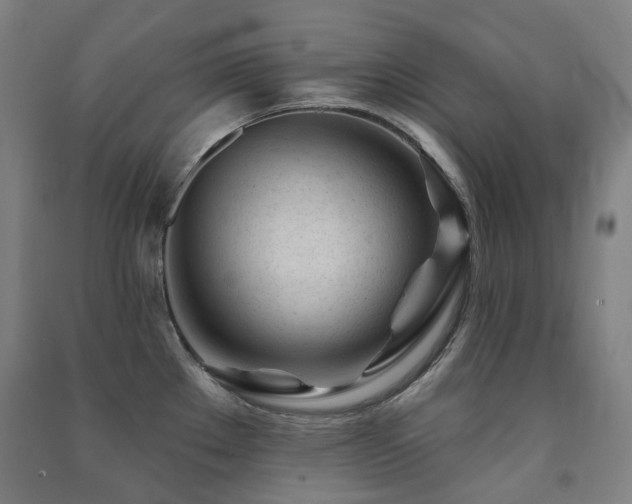 X0000091471289200708161351