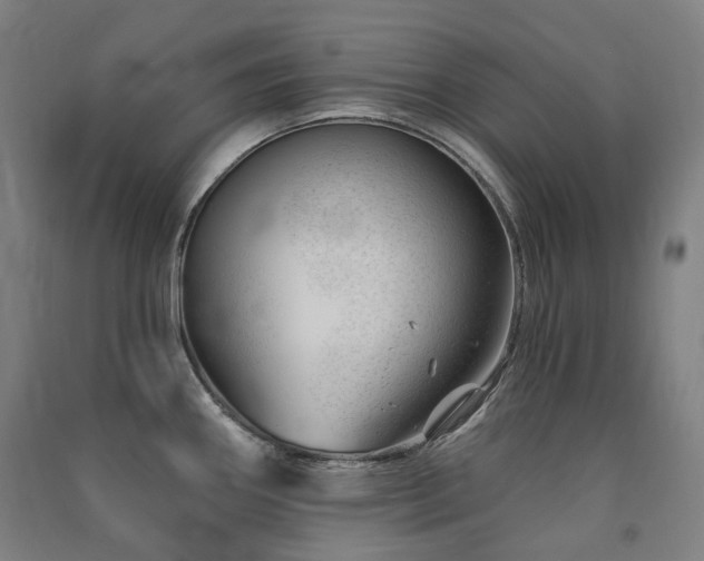 X0000091471290200708161351