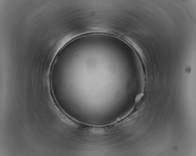 X0000091471291200708161351