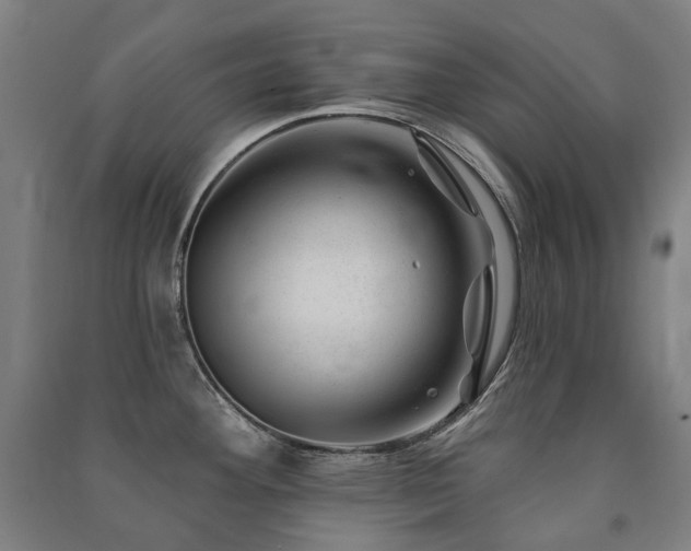 X0000091471292200708161351