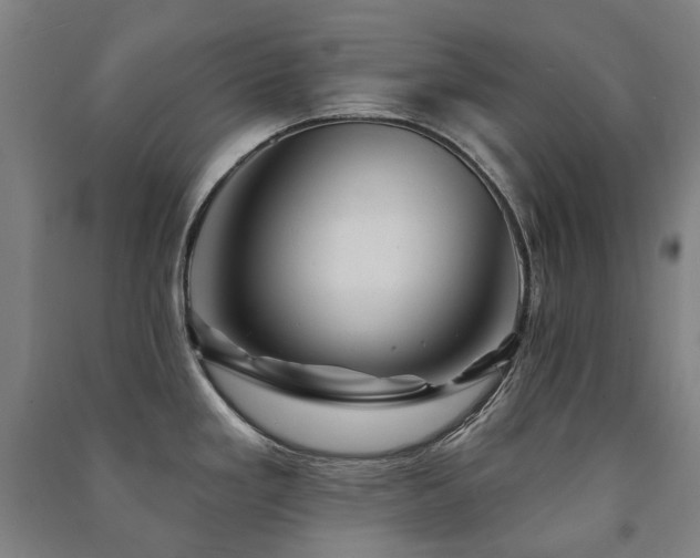 X0000091471293200708161351