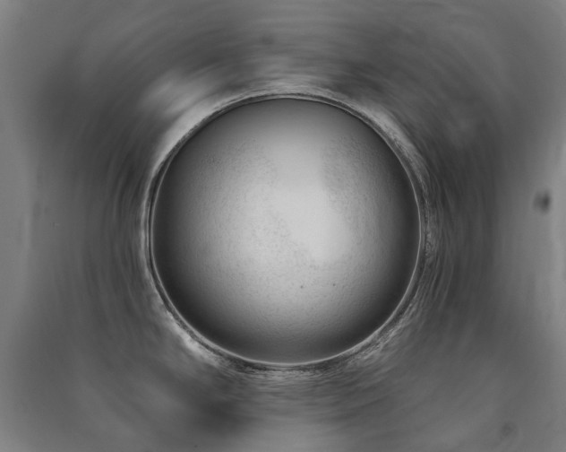 X0000091471294200708161351