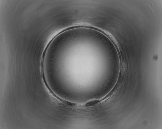 X0000091471295200708161351