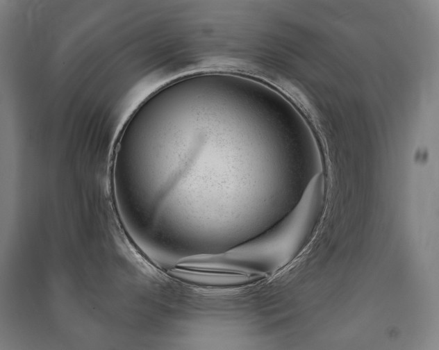 X0000091471296200708161351