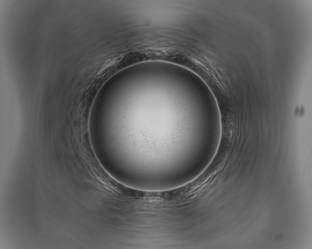 X0000091471297200708161350