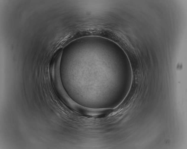 X0000091471298200708161350