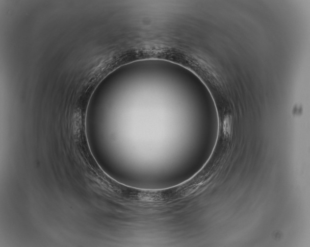 X0000091471299200708161350