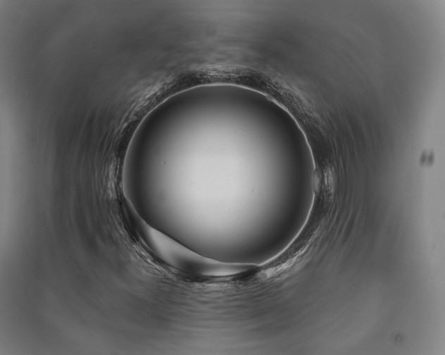 X0000091471300200708161350