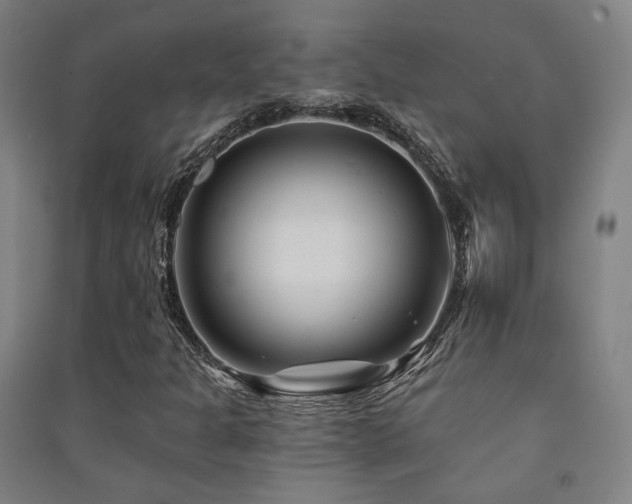 X0000091471301200708161350