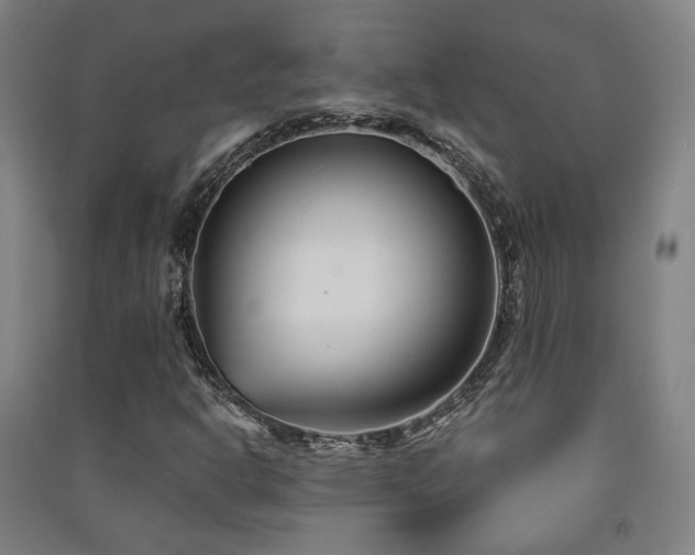 X0000091471302200708161351
