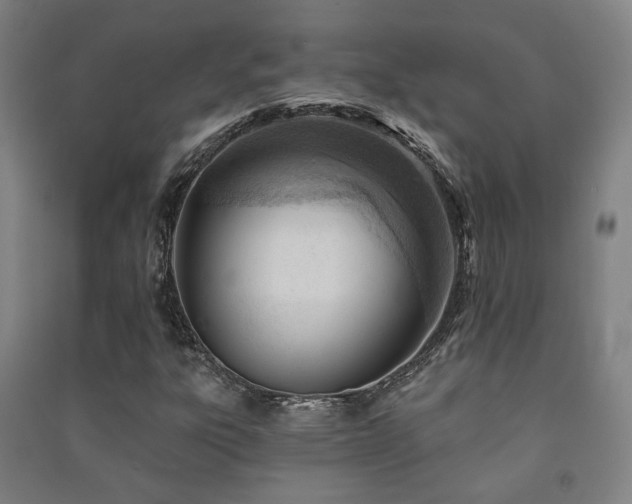 X0000091471303200708161351