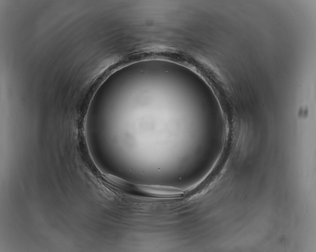X0000091471305200708161351