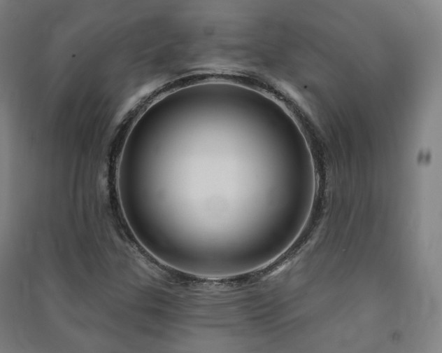 X0000091471307200708161351