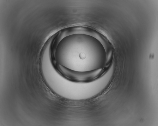 X0000091471308200708161351