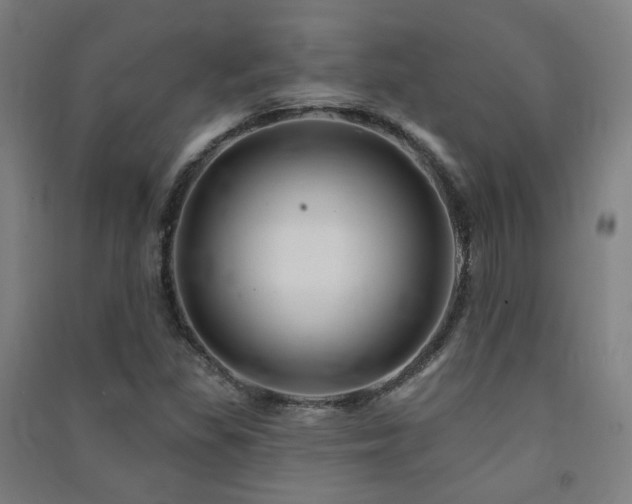 X0000091471309200708161351