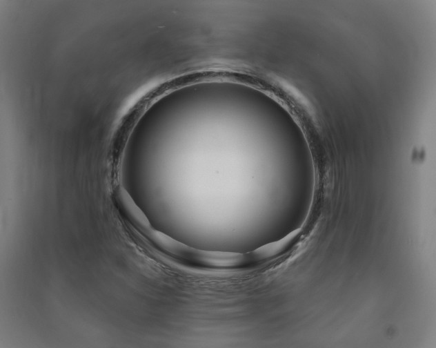 X0000091471310200708161351