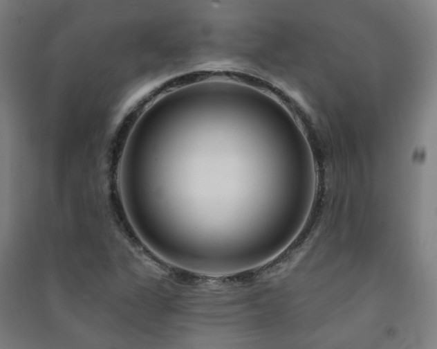 X0000091471311200708161351