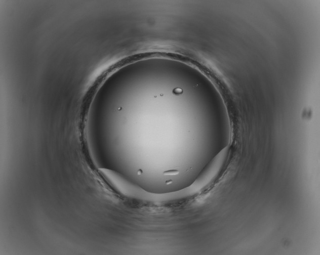 X0000091471312200708161351