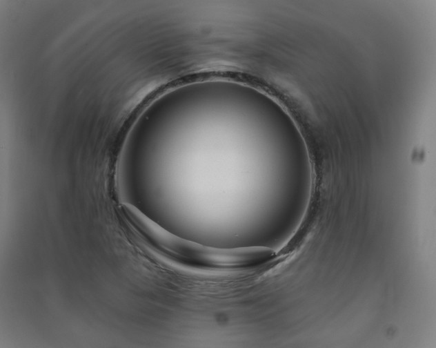 X0000091471313200708161351