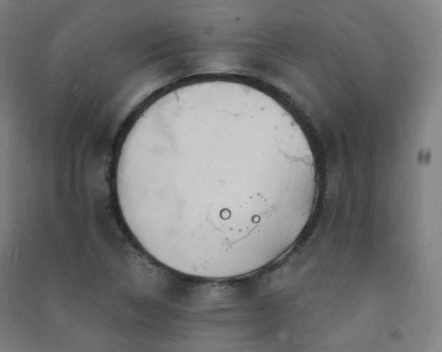 X0000091471314200708161351