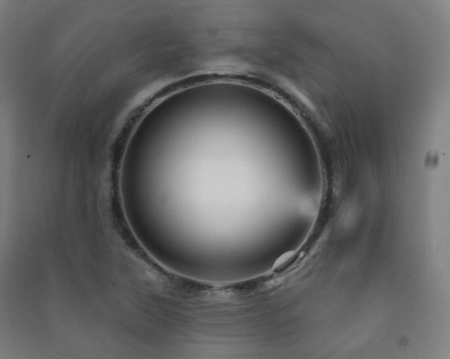 X0000091471315200708161351