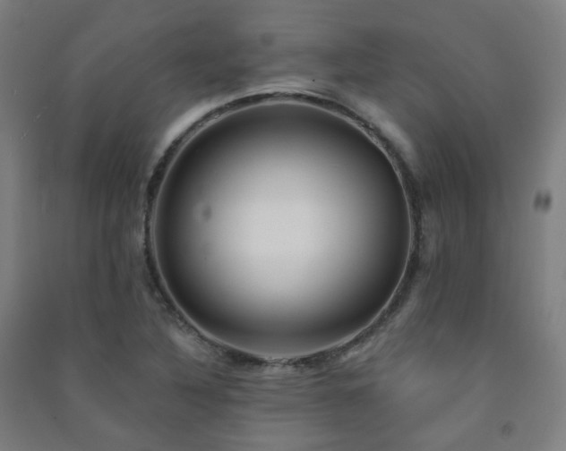 X0000091471316200708161351