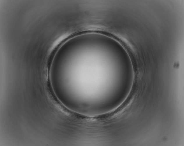 X0000091471317200708161351