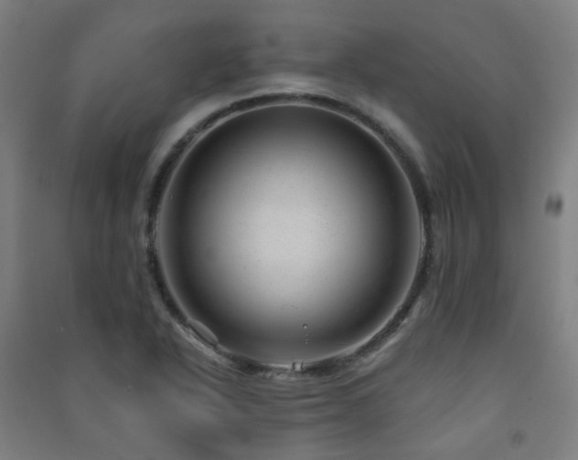 X0000091471318200708161351