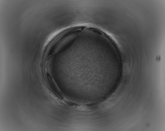 X0000091471319200708161351
