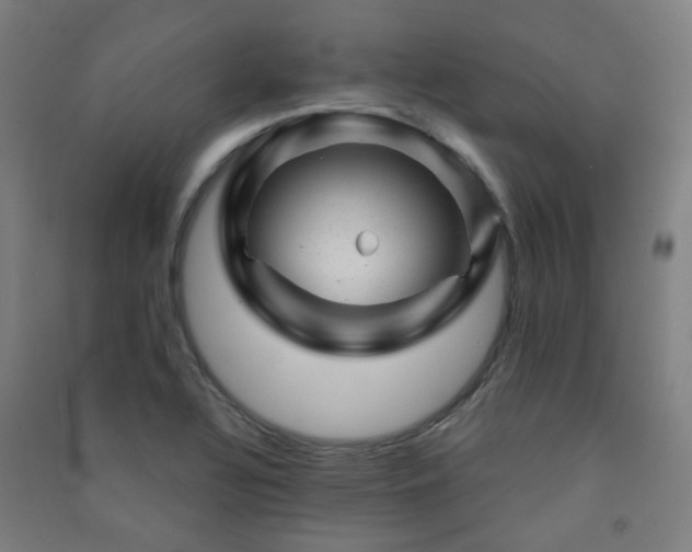 X0000091471320200708161351
