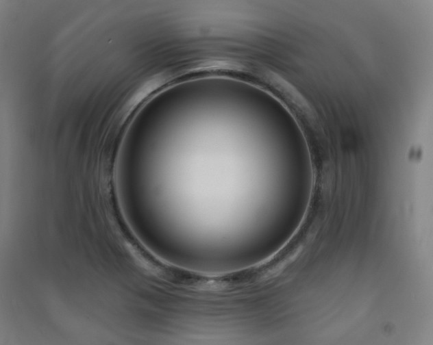 X0000091471321200708161351