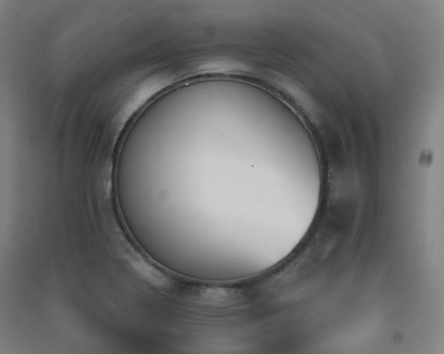 X0000091471322200708161351