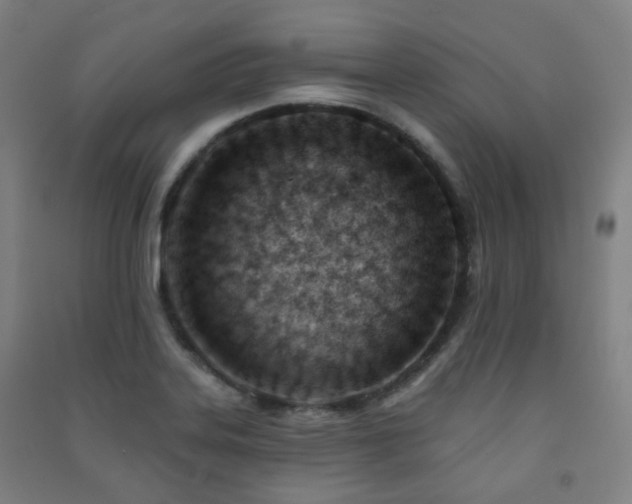 X0000091471323200708161351