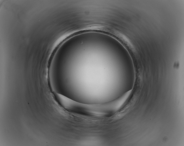 X0000091471324200708161351