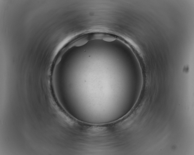 X0000091471325200708161351